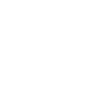 Shelby Water Logo
